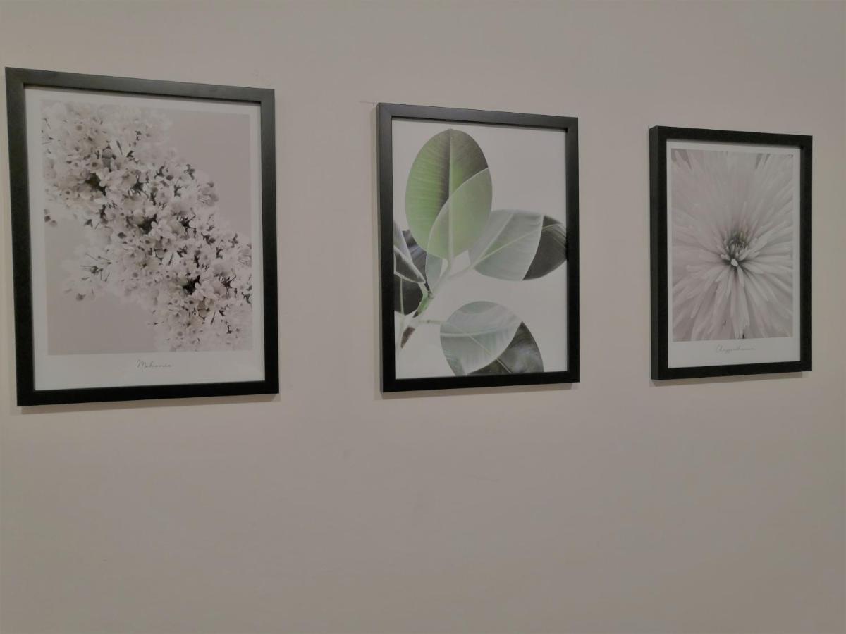 Apartia Krenova, Brno-Center Dış mekan fotoğraf
